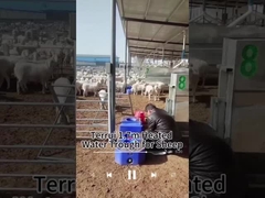 نگه داشتن گرما مخزن آب دام برای تامین آب قابل اعتماد ظرفیت 200 کیلوگرم