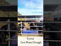 آبخوری خودرو دام