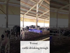 آب پاشي اتوماتيک براي دام با 3 مجموعه از دیسک های گرم کننده 220V300W