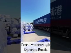 آب دادن اتوماتیک دام