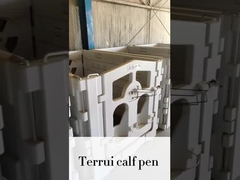 گوساله های خود را گرم و متحرک نگه دارید