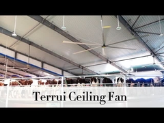 9.53m3/min جریان هوا فن سقف صنعتی 14300 m3/min حداکثر خروجی