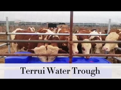 مخزن آب دادن سنگین آبی 85L با لوله 3 / 4 تراخت