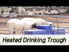 آب دهنده گاو با ظرفیت بالا با ظرفیت 260L و ارتفاع نوشیدن 190mm