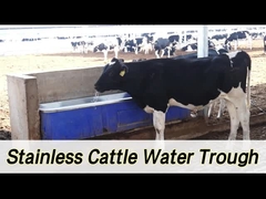 2 مجموعه 1800W تنظیم شده گرمایش دام خودروی آبیاری با نرخ جریان 100-120L / دقیقه