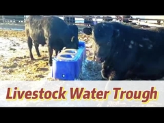 میزان جریان 40L/min آب آشامیدنی گاو آبی برای حداکثر بهره وری آب