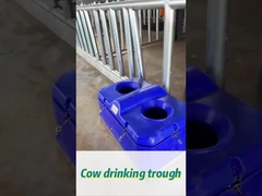 آبیاری گاو با جریان بالا برای آب دادن آسان در ارتفاع نوشیدن 450 میلی متر