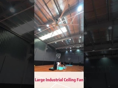 6pcs مواد آلیاژ تیغه فن سقف صنعتی برای 1400m2 پوشش منطقه و سر و صدا کم