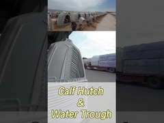 220*145*145 سانتی متر مستطیل گوساله شیر برای بهبود سلامت و رفاه