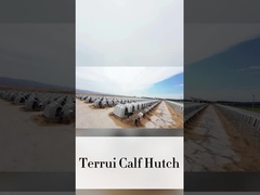 220*145*145 سانتي متر گوساله هاي سفيد لبني مناسب براي نيازهاي کشاورزي شما