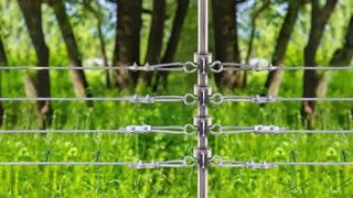 دام های خود را ایمن کنید: نحوه نصب عایق های T-Post بر روی حصار برقی